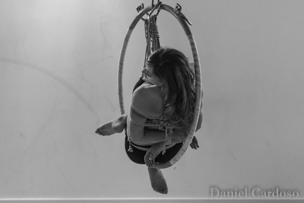DSC 1972